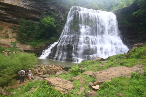 Burgess Falls State Natural Area