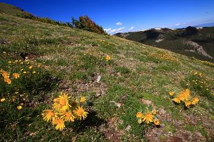 Byers and Bottle Peaks