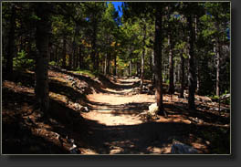 Trail to Longs Peak and Chasm Lake