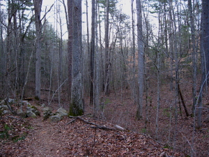 Clemmer Trail