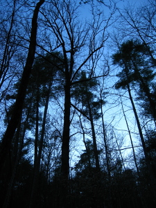 Clemmer Trail