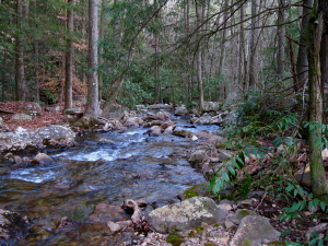 Clemmer Trail