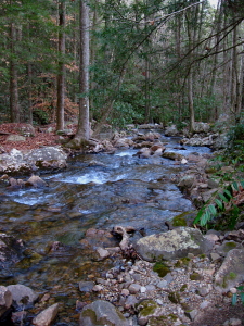 Clemmer Trail