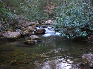 Clemmer Trail