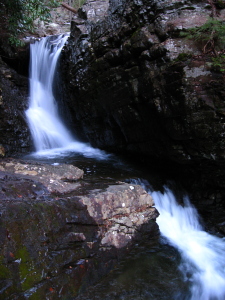 Clemmer Trail
