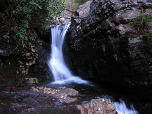 Clemmer Trail