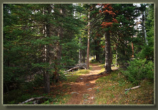 Corner Mountain Trail Network