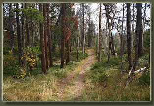 Corner Mountain Trail Network