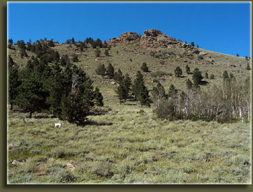 Crawford Point from below
