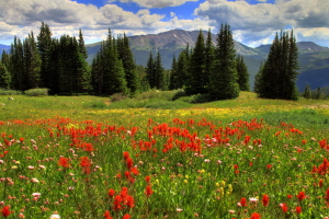 Crystal Lake, Colorado
