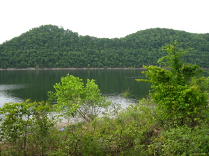 Davies Island, Tennessee