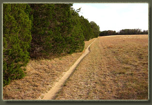 Dinosaur Valley State Park, TX