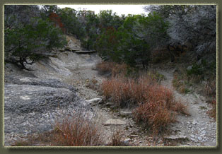 Dinosaur Valley State Park, TX