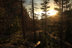 East Inlet, Rocky Mt National Park, Colorado