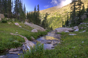 East Inlet, Rocky Mt National Park, Colorado