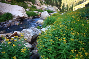 East Inlet, Rocky Mt National Park, Colorado