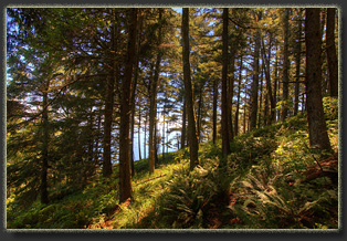 Hiking from Ecola Point to Tillamook Head