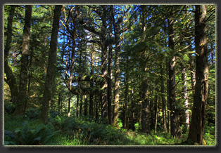 Hiking from Ecola Point to Tillamook Head