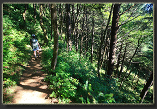 Hiking from Ecola Point to Tillamook Head