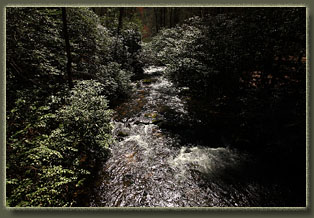 Ellicott Rock Wilderness, South Carolina