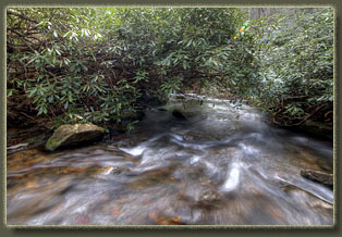 Ellicott Rock Wilderness, South Carolina