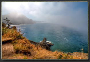 Hiking Falcon Cove in Oswald West State Park, OR