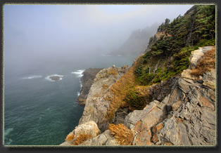 Hiking Falcon Cove in Oswald West State Park, OR