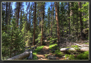 Fall Mountain, Rocky Mt National Park, Colorado