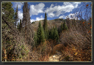 Fish Creek Falls, Colorado