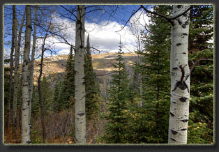 Fish Creek Falls, Colorado