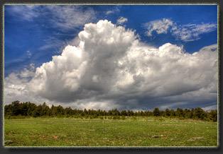 Gardner Mountain WSA, Wyoming