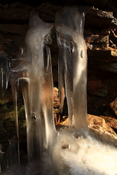Grundy Lakes State Park, Tennessee