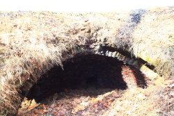 Grundy Lakes State Park, Tennessee