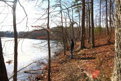 Grundy Lakes State Park, Tennessee