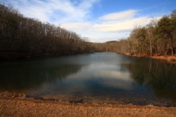 Grundy Lakes State Park, Tennessee