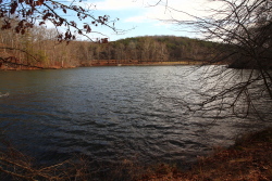 Grundy Lakes State Park, Tennessee