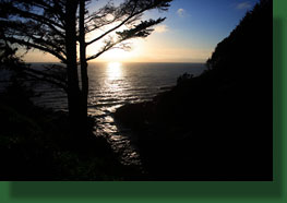 Cape Perpetua