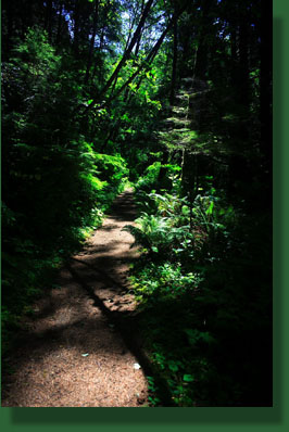 Cooks Ridge Trail