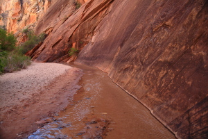 Hackberry Canyon