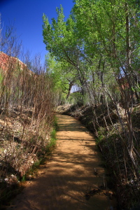 Hackberry Canyon
