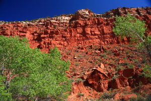 Hackberry Canyon