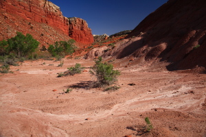 Hackberry Canyon