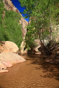 Hackberry Canyon