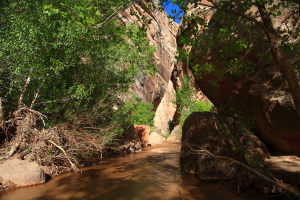 Hackberry Canyon