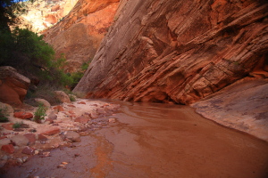 Hackberry Canyon