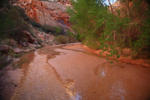 Hackberry Canyon