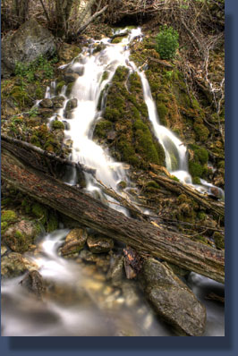 Falls along Dead Horse Creek