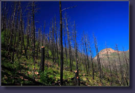 Hankins Gulch