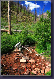 Hankins Gulch