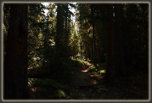 Haynach Lake Backpacking Trip